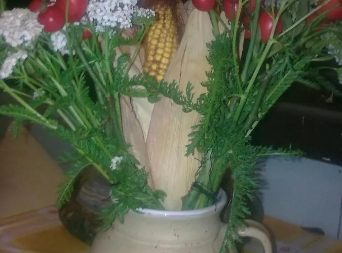 Dom wakacyjny Friday Ktová
